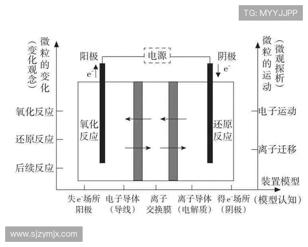杭州排球队在挑战赛中的速度表现分析与点评