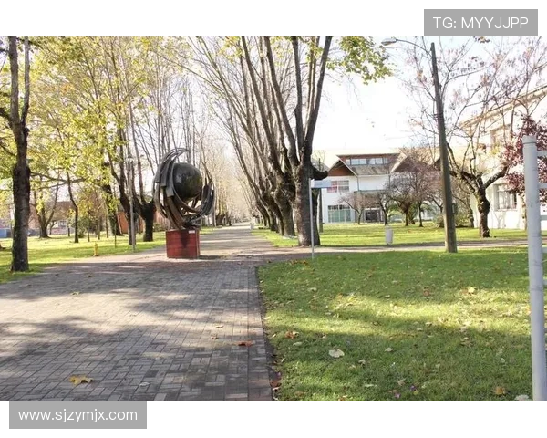 克鲁赛与智利大学的激烈对决揭示足球战术与团队合作的魅力